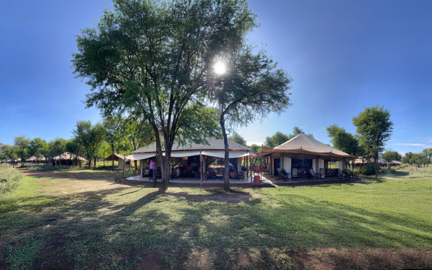 thomson nyumba camp in serengeti