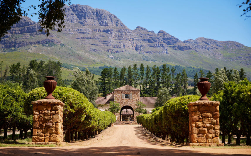 waterford wine estate in stellenbosch south africa