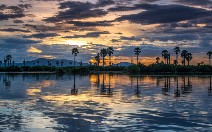 sunset over rufiji river in nyerere national park
