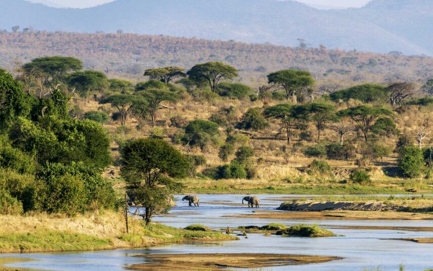 ruaha landscape with elephants and river