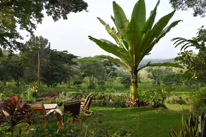 beautiful views from the gardens at gibb's farm in tanzania