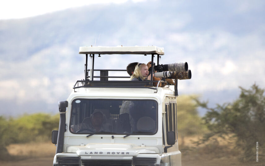 thomson safaris guest take photographs from customized landrover defenders