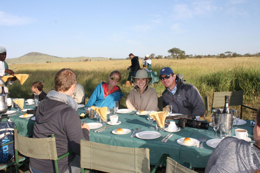 champagne breakfast following hot-air balloon flight in serengeti national park