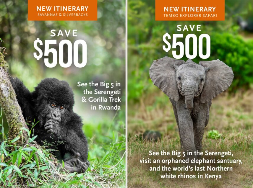 limited time promotion on savanna and silverbacks safari or tembo explorer safari