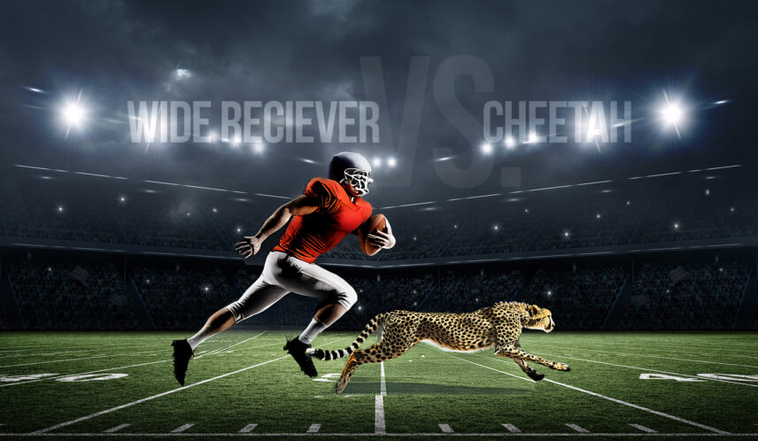 football vs serengeti matchup with cheetah