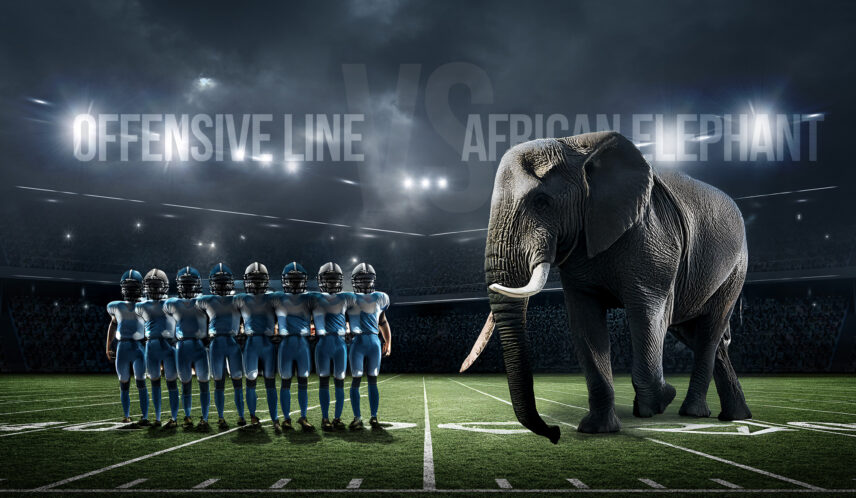 football vs serengeti matchup with elephant