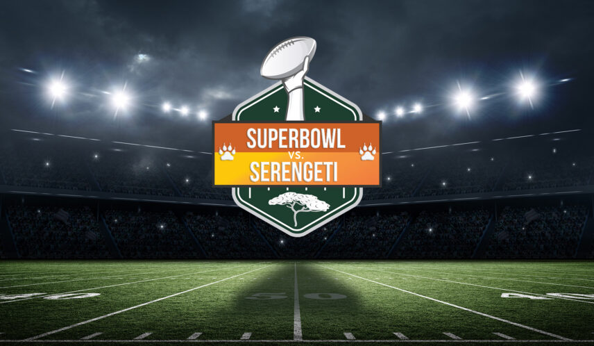 superbowl serengeti matchup