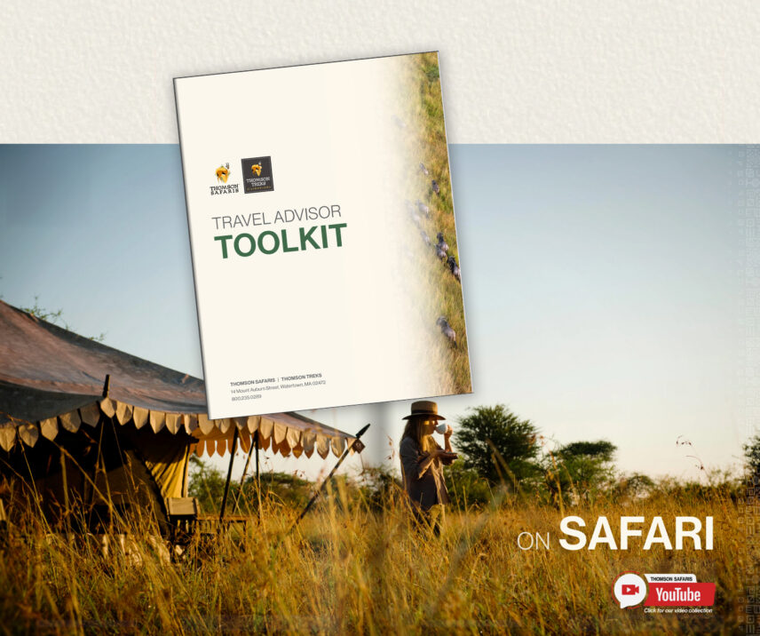 travel advisor toolkit safari cover
