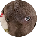 Boggles M. profile picture