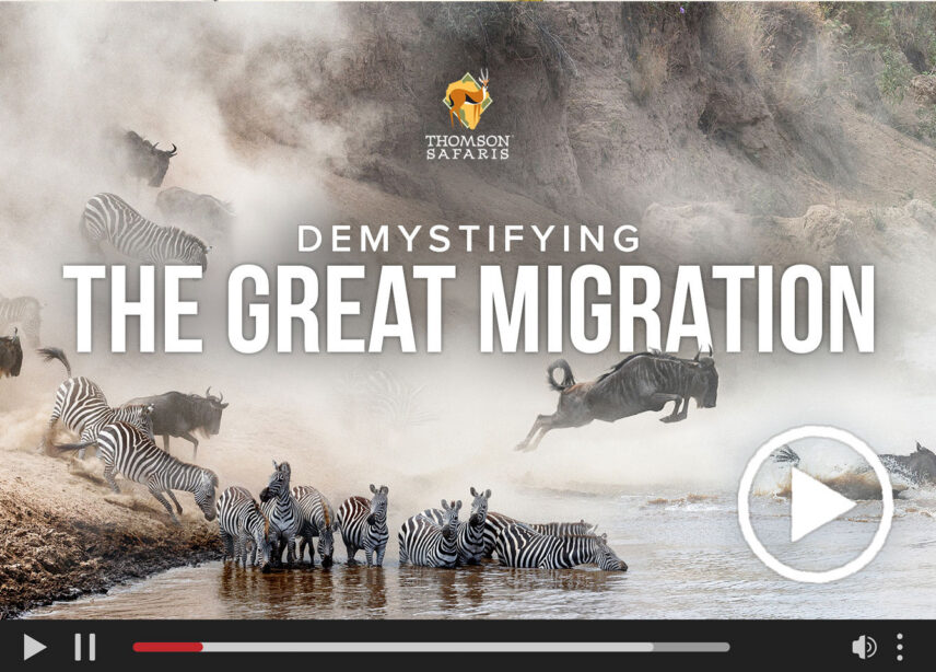 great migration webinar for travel advisors