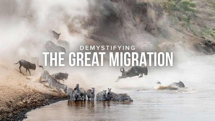 webinar for great migration