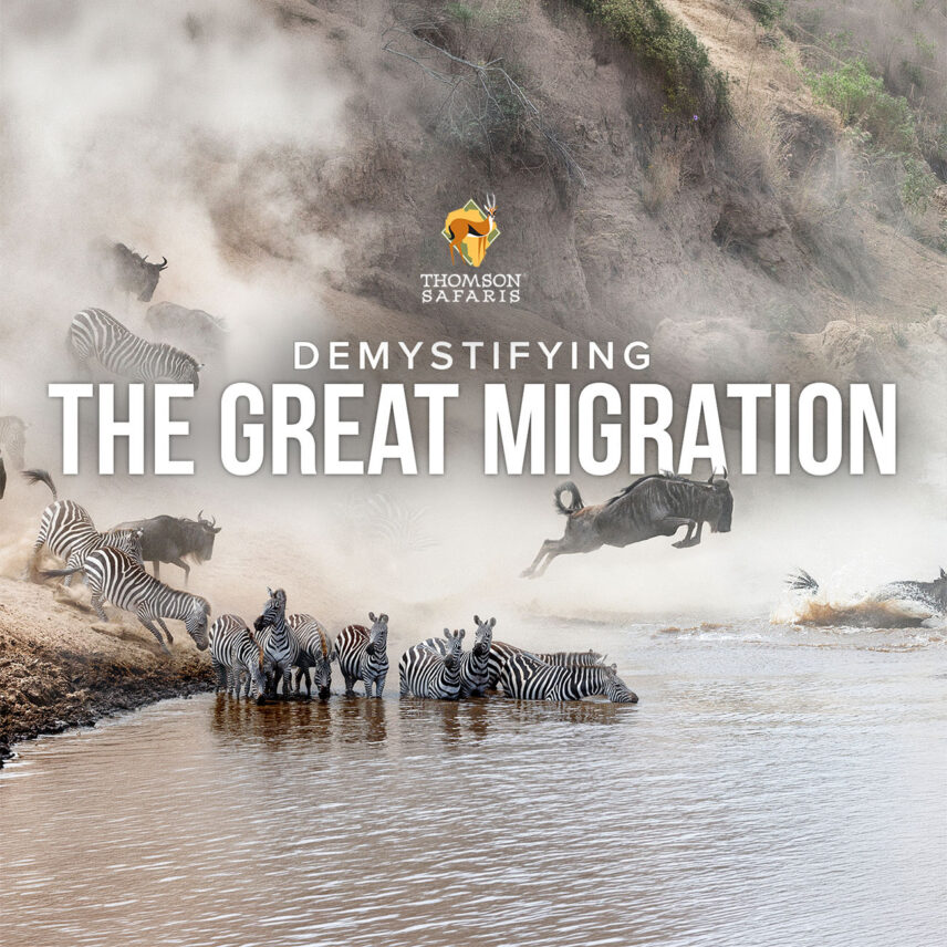 demystifying the great migration webinar