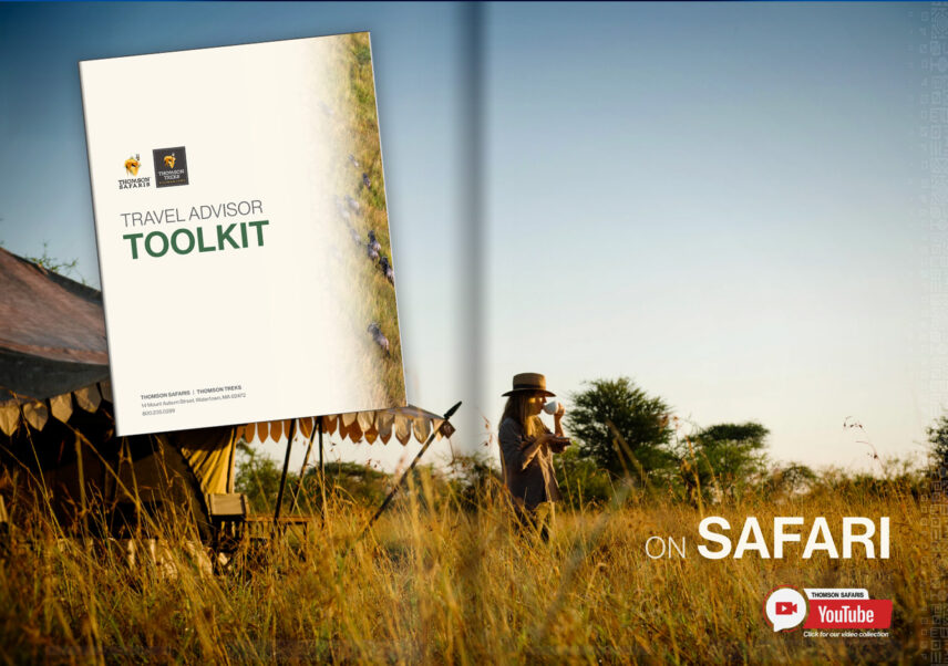 travel advisor resources from thomson safaris