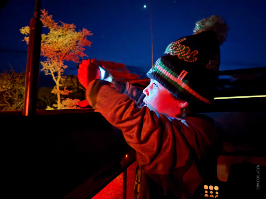 boy taking pictures of wildlife spotted on a night drive in the eastern serengeti