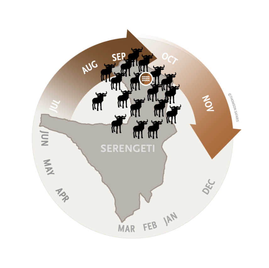great migration serengeti map pinpointing the river crossing season