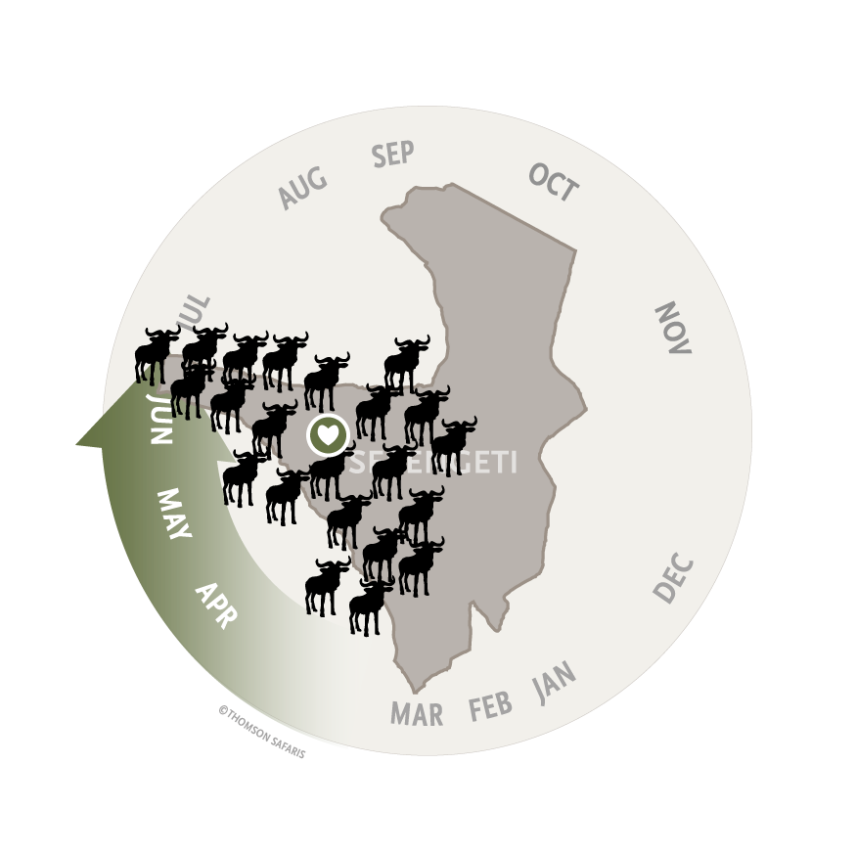great migration serengeti map pinpointing the rut