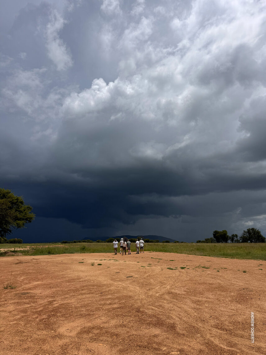 safari tourists admiring storm clouds in the serengeti during green season