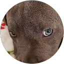 Boggles M. profile picture