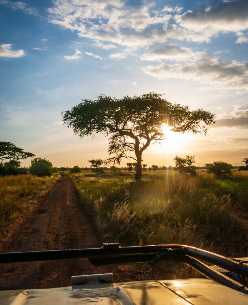 driving west on serengeti road towards sunset
